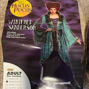 Disney Hocus Pocus Winifred Sanderson Costume - Teal and Purple